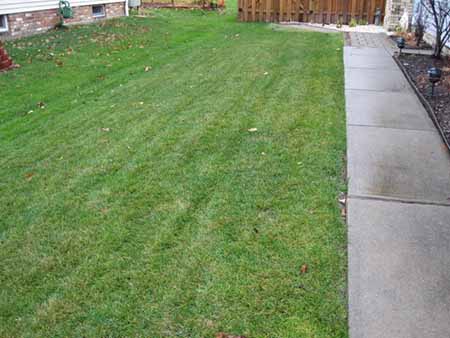 Graded lawn and walkway directing surface water away from a home